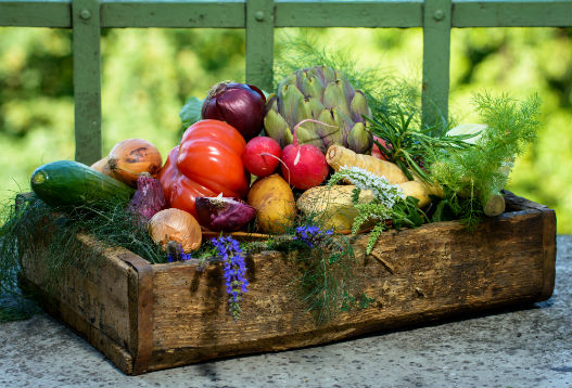 garden herbs and vegetables harvested