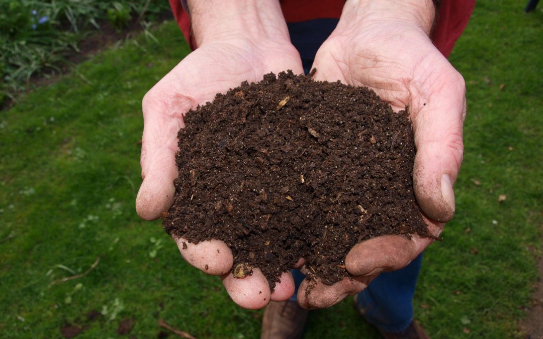 Green Your Home – One Free Month of Compost Pickup for New Hubsters!