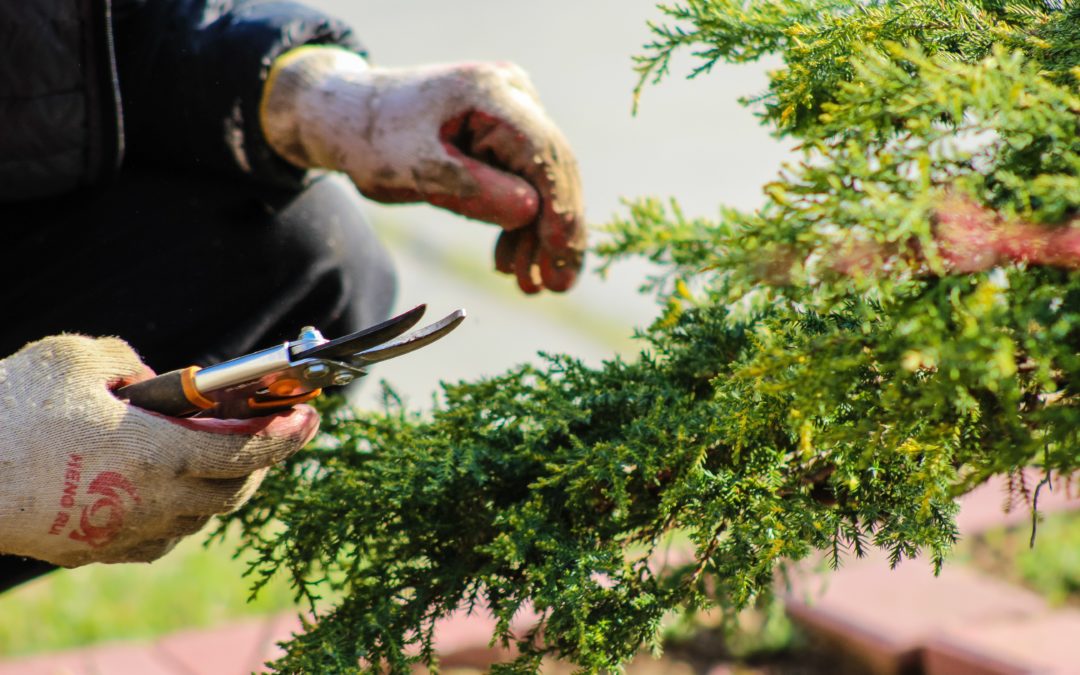 Spring Cleaning Action List – Prepare Your Home and Yard for Outdoor Summer Living