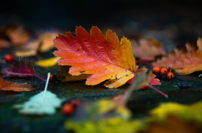 Fall Home Maintenance Checklist for NJ Homeowners